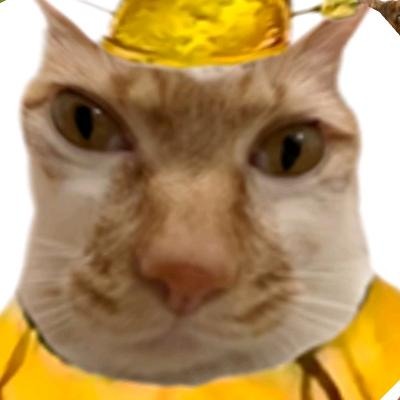 摄影师坤哥美女壁纸