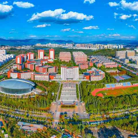 { blogger.collection_name }