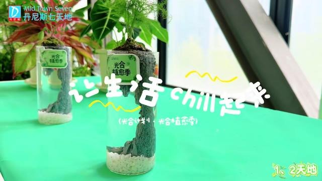 逛街新体验 打卡领养绿植 一盆清新绿植 一份仙境汉服粉嫩女孩写真照全集