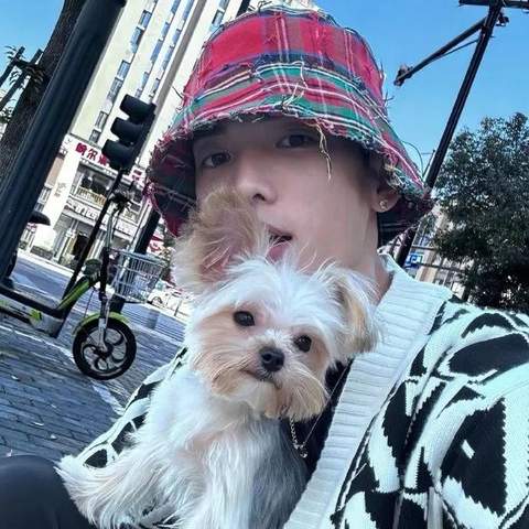 再续一点儿头像集