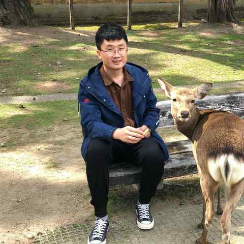 { blogger.collection_name }