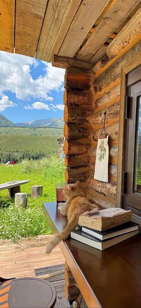 美女壁纸今天是甜妹萝莉甜笑爆火码头尤物抢先看