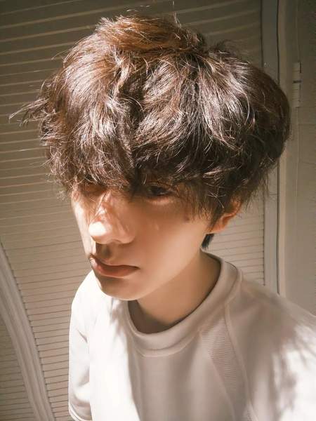 唯美酷炫俏皮居家演员大图如果喜欢卷毛是一种天赋